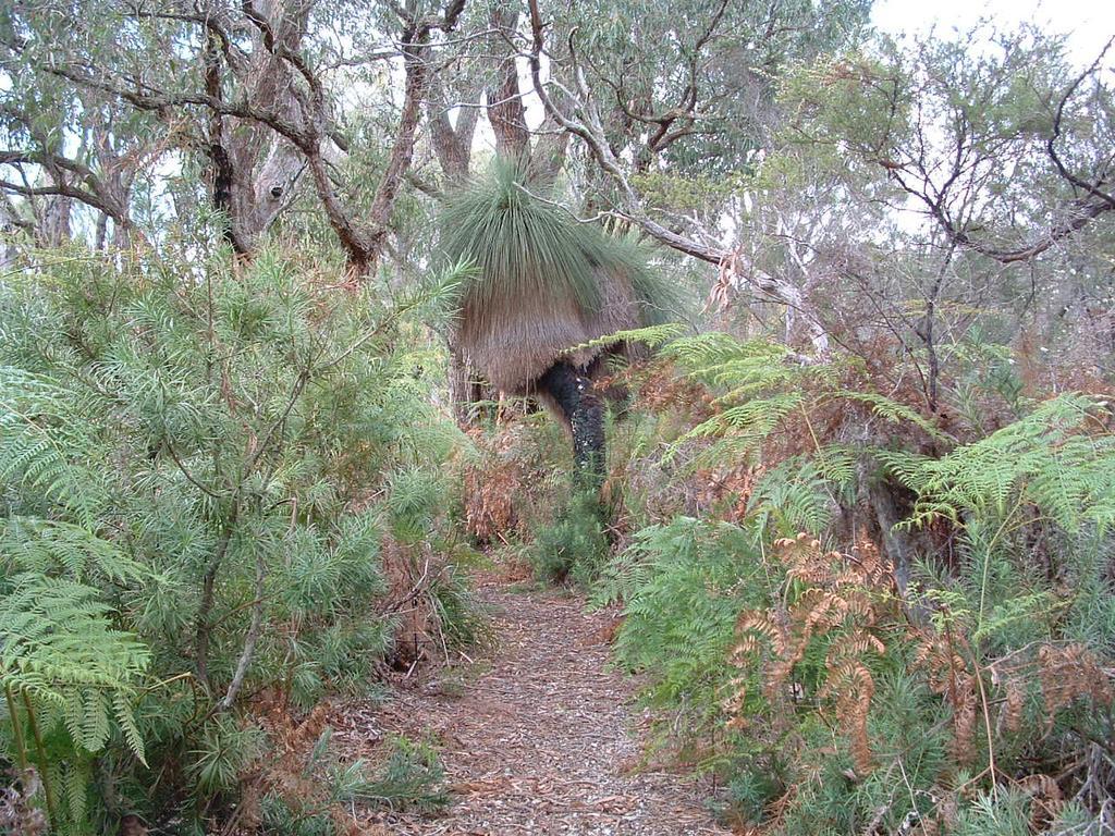 Yelverton Brook Conservation Sanctuary Metricup Buitenkant foto